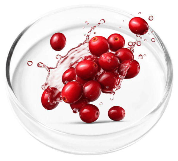 Femicore Ingredients 