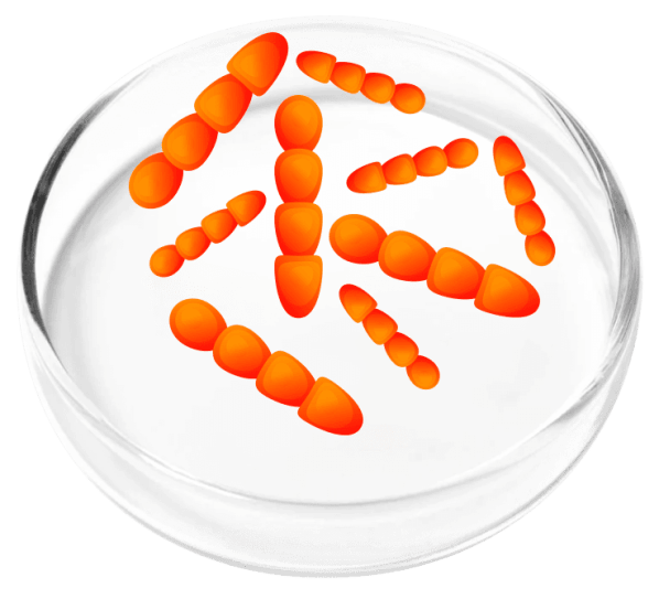 Femicore Ingredients 