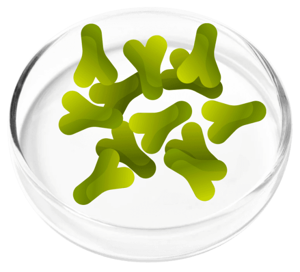 Femicore Ingredients 