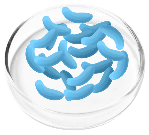 Femicore Ingredients 