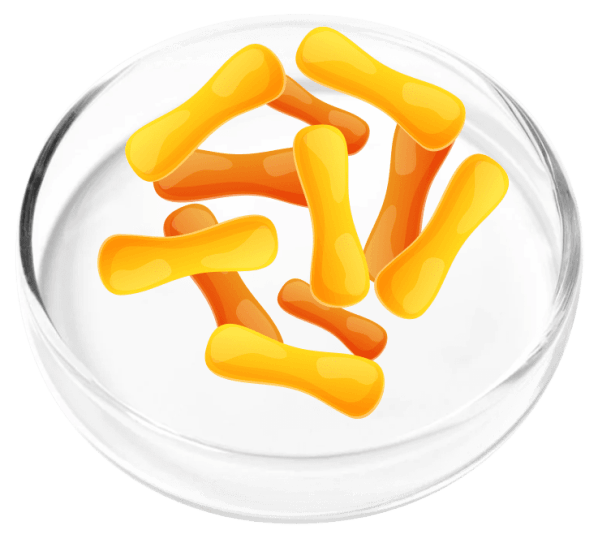 Femicore Ingredients 